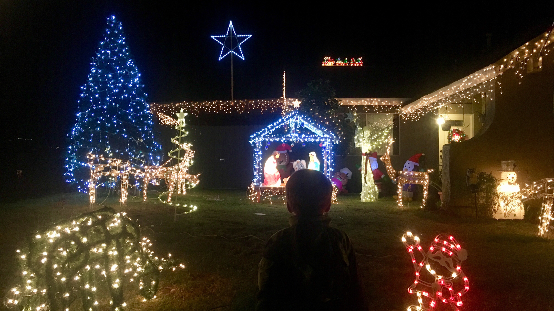 Candy Cane Lane is famous for its houses decorated with fancy and creative Christmas lights and ornaments. 