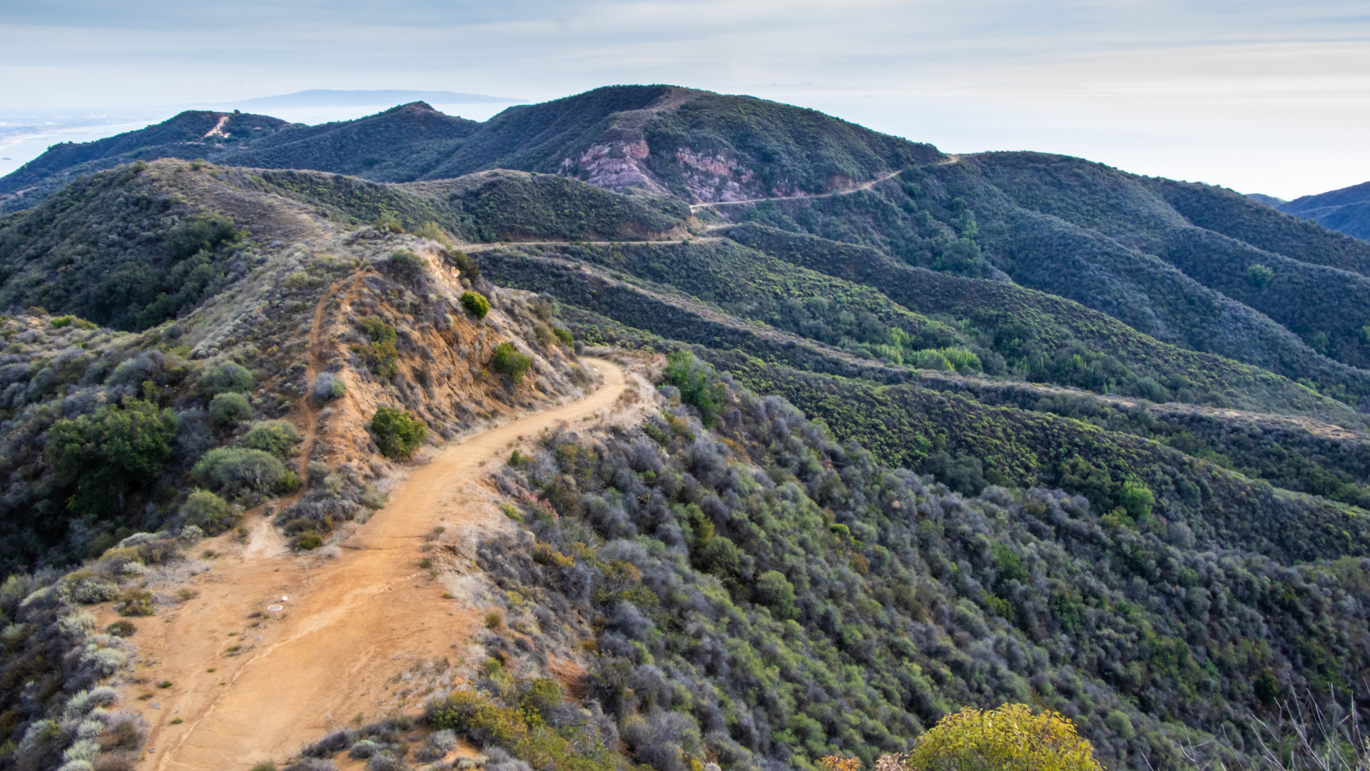 he Natoma Loop Trail within Topanga State Park is an ideal destination for hiking enthusiasts.